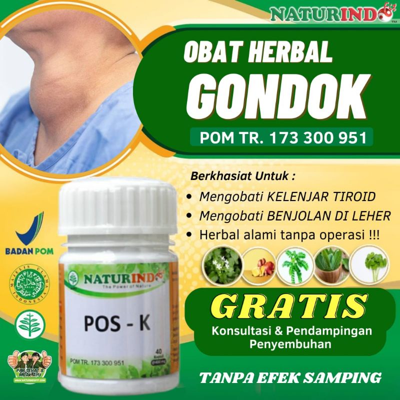 obat gondok penghilang teroid kelenjar teroid benjolan di leher