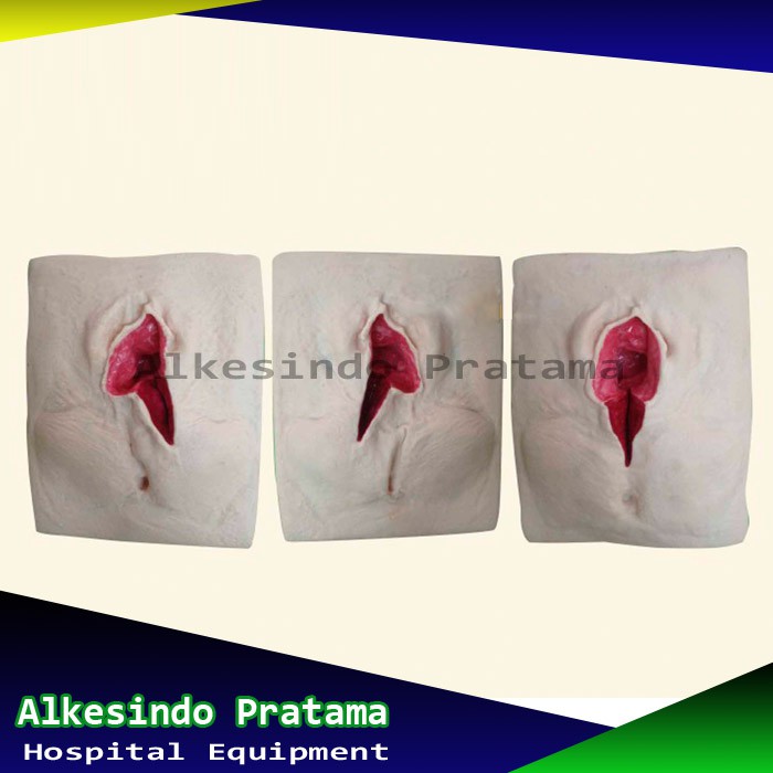 Jual Manekin Episiotomy Model Manikin Phantom Suture Simulasi