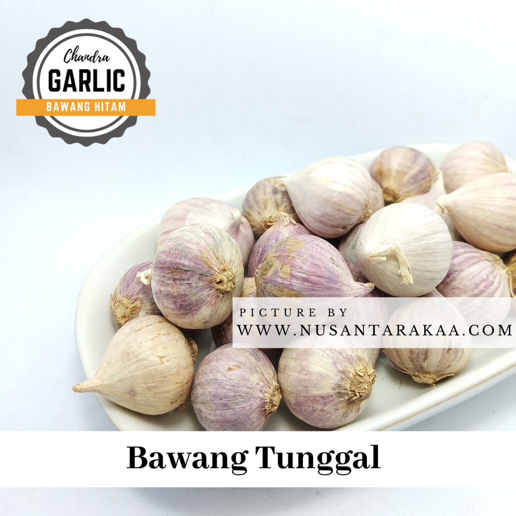 

Terlaris Bawang tunggal / lanang 1 kg