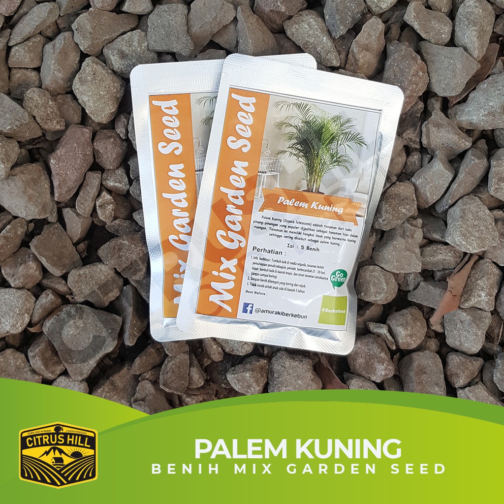 Benih PALEM KUNING - Mix Garden Seed - 5 Benih