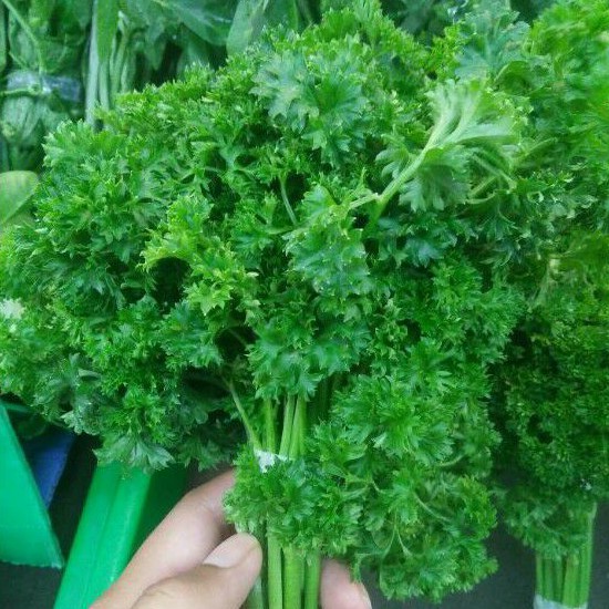 

Daun Parsley Fresh 1 Ikat (G.51)