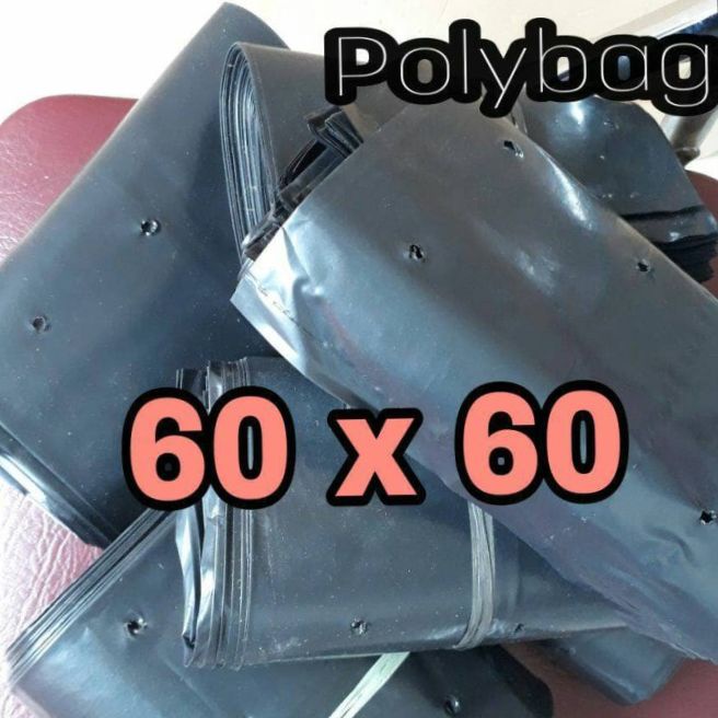 polybag untuk tanaman ukuran 60x60cm berat 1kg/polibag ukuran 60x60cm 1kg
