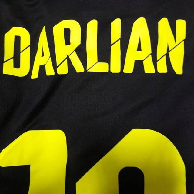 darliandenaliputra