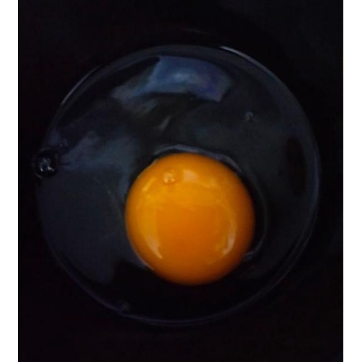 

Telor Omega 1 kg Original Sumedang