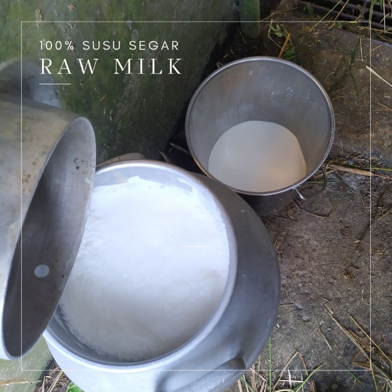 Jual Susu Sapi Segar Mentah Liter Shopee Indonesia