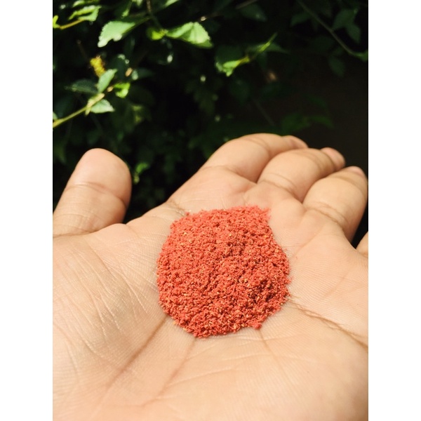 Blood worm kering - Cacing darah kering pakan burayak cupang - Pakan burayak gepi guppy molly moli n