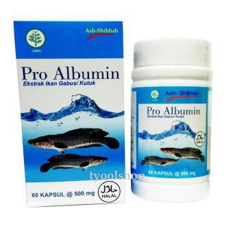 Pro albumin obat luka ekstrak ikan Gabus