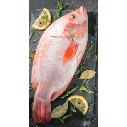 

Nila Beku 500 gram