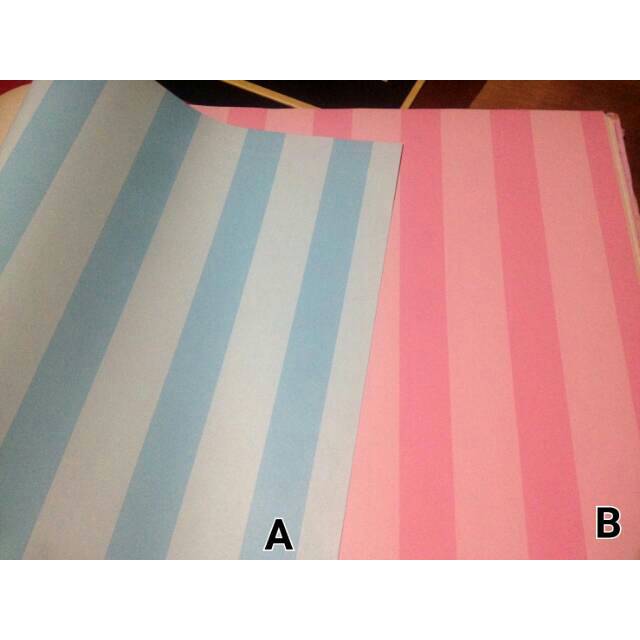 20 Ide Cat  Kamar  Garis  Garis  Biru Pink  Kristy Mignonne