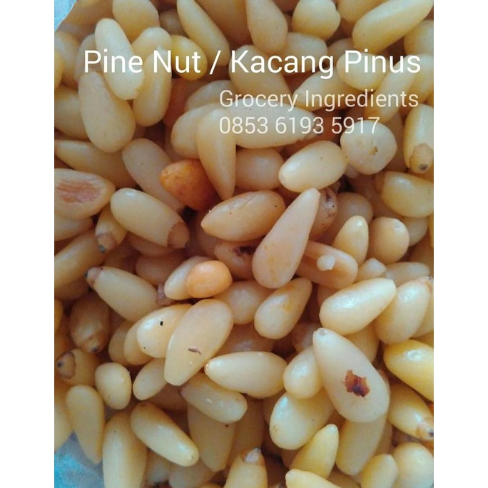 

Pine Nut / Kacang Pinus - 50Gram