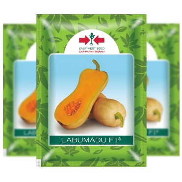 Biji Benih Bibit Labu Madu Cap Panah Merah