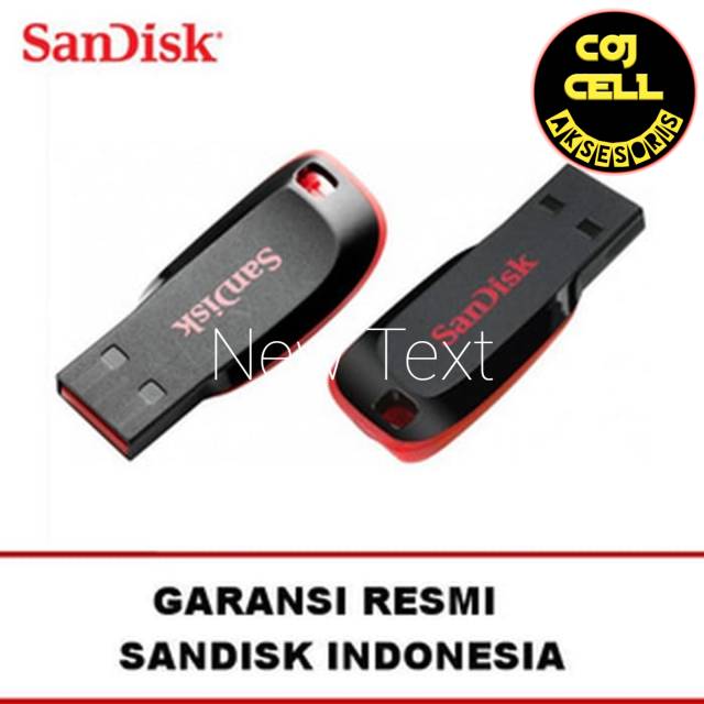 Flash disk SANDISK