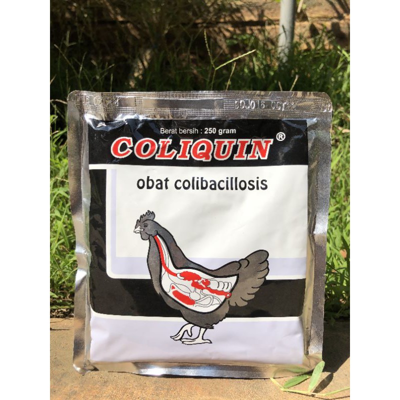 Coliquin 250 gr (obat colibacillosis)