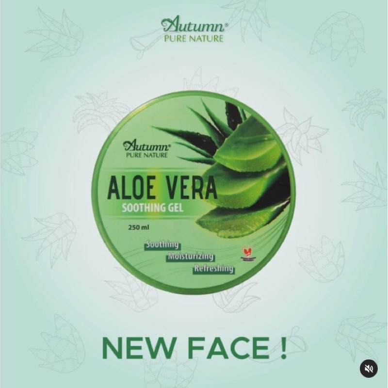 [PROMO] AUTUMN ALOEVERA SOOTHING GEL/Aloevera soothing gel 250ml