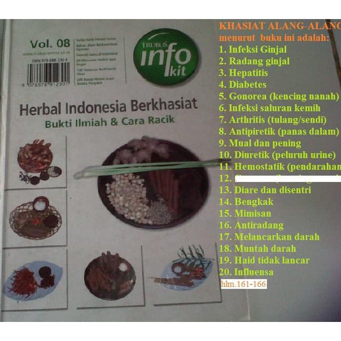 Herbal Obat Herbal Herbal Untuk Radang Ginjal Akar Alang Alang Segar Limited Edition Shopee Indonesia