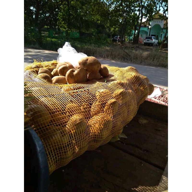 

KENTANG/500g