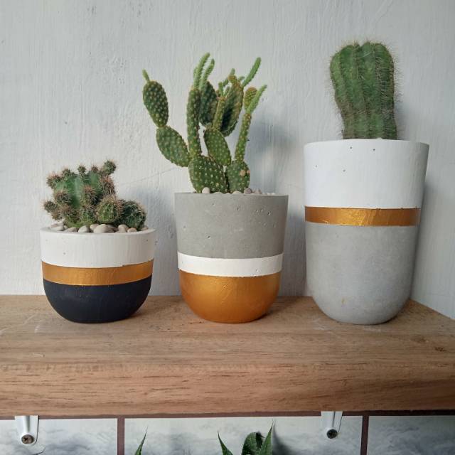 Pot semen / Pot Concrete / Concrete pot / Pot Kaktus / kaktus mini