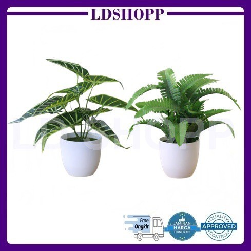 LDS DAUN TALAS / DAUN PAKIS TANAMAN HIAS PLASTIK POT BUNGA ARTIFICIAL DAUN RAMBAT DEKORASI