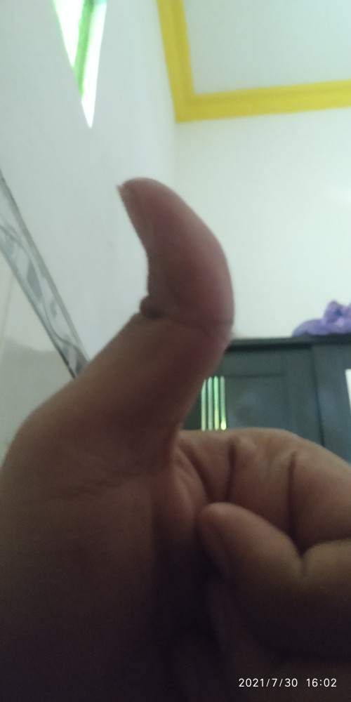 Lem Tikus Jebakan Trap Papan Buku Impor Perangkap Cap Gajah Glue Board Mouse Rat Jumbo Besar Import