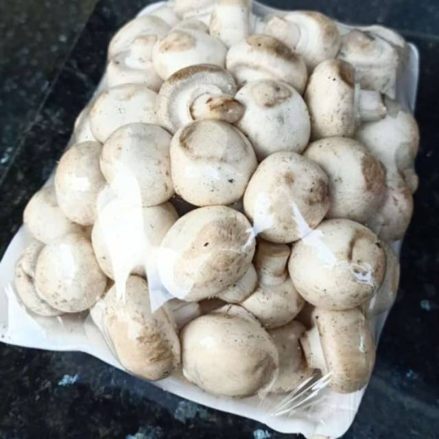 

jamur champignon / kancing