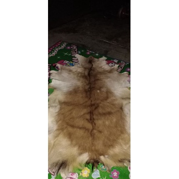 kulit kambing bulu lembaran