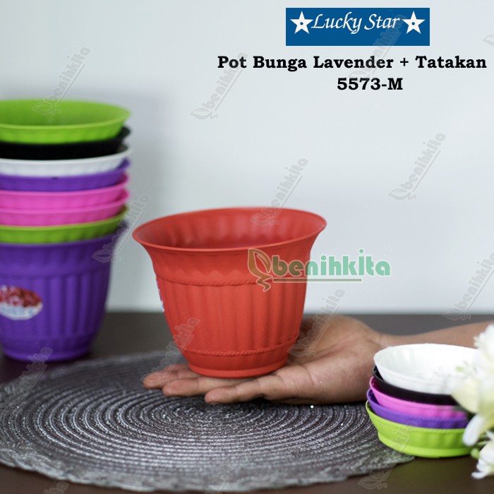 Pot Tanaman-Bunga Lavender M 5573-H (Lucky Star)