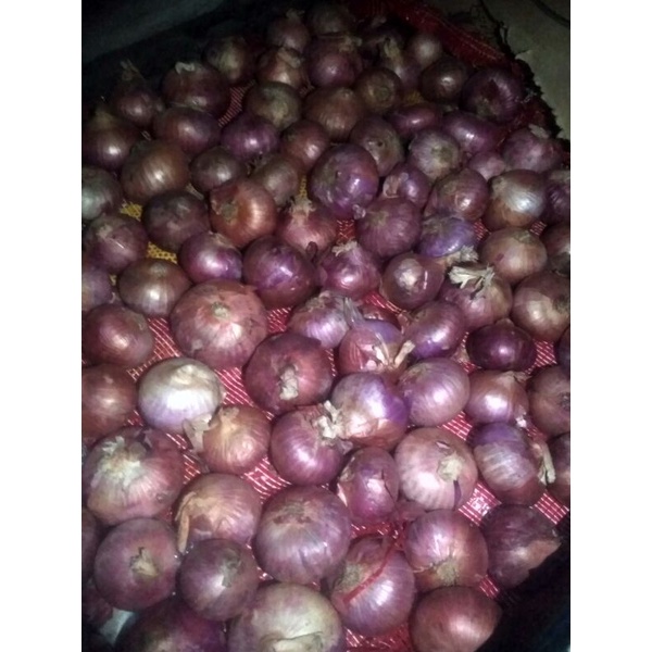 

bawang merah india
