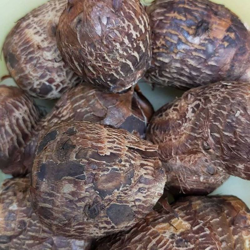 

ubi mbothe/talas desa 1kg