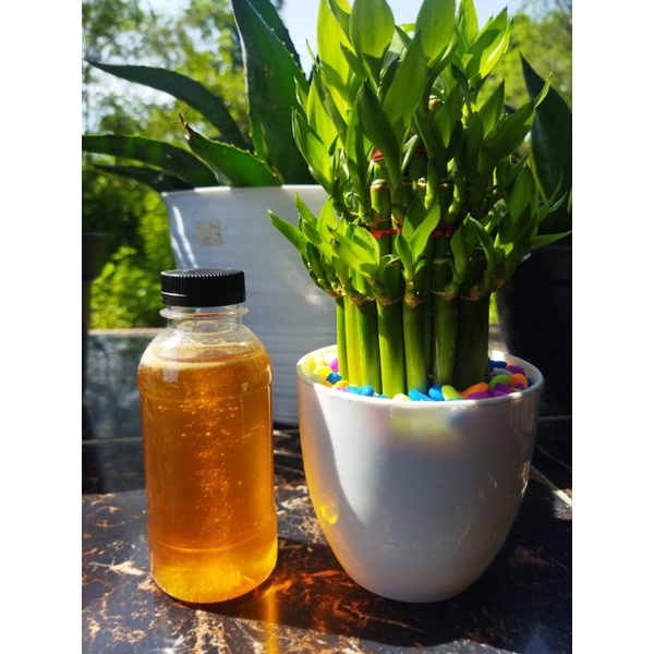 

Madu multiflora randu 100% asli