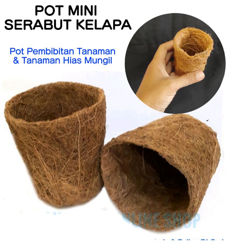 Pot Kecil Mini Untuk Pembenihan Pembibitan Tanaman Dari Serabut Kelapa