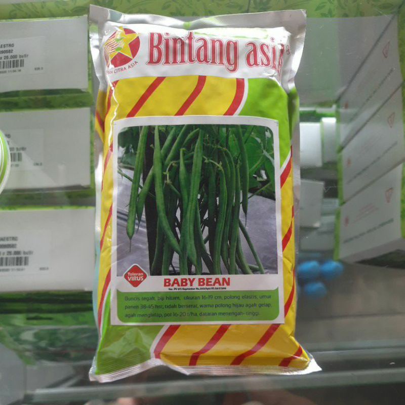 Benih Buncis Pohon Pendek TALA BABY BEAN isi 500gr