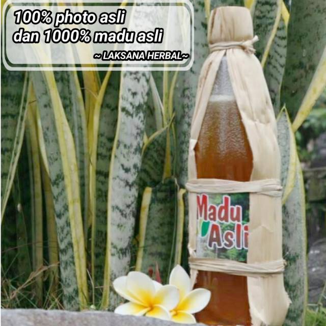 

MADU HUTAN ASLI ODENG ORGINAL