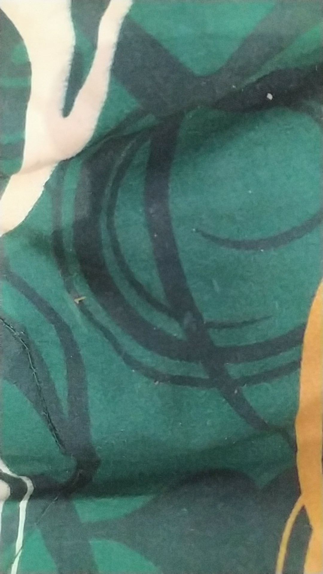 [lem Lalat] Obat Lalat- Racun Lalat Zhang Pei Zhen Ori 100%