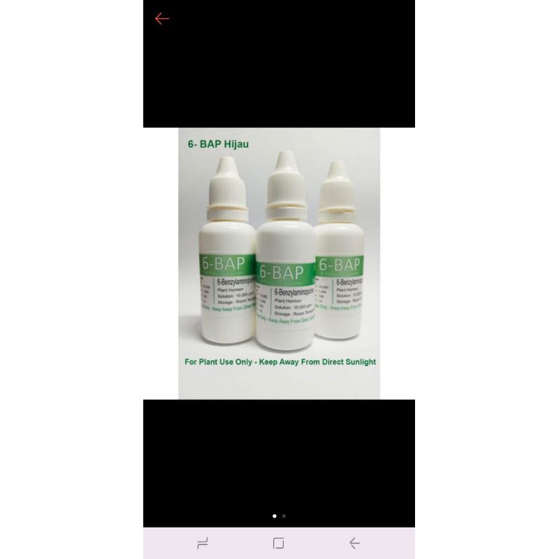 6 BAP Benzylaminopurine Perangsang Bunga Anggrek dan Penumbuh Tunas