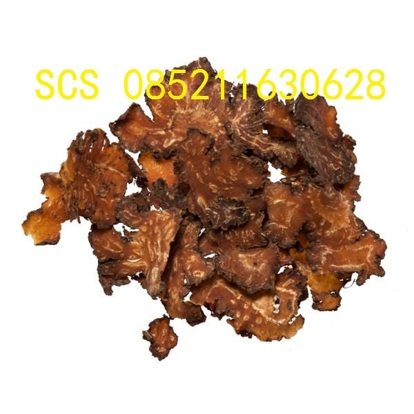 

Chuan Xiong Cnidium Sichuan Lovage Rhizome 1kg 川芎