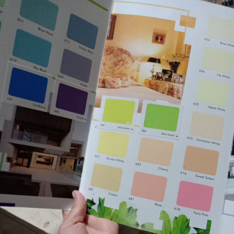 CAT TEMBOK/CAT DINDING 5KG