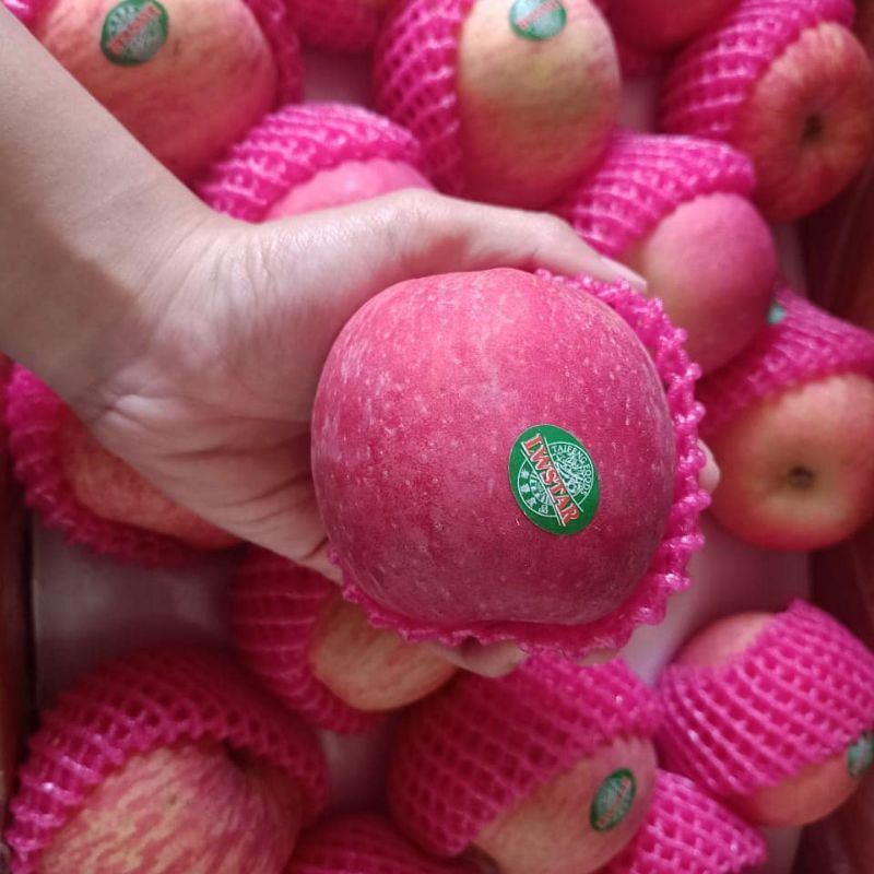 

Apel Fuji Premium manis