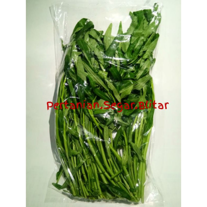 

[Pertanian Blitar] Kangkung Muda Fresh Sayur Sayuran Seal Packing Vakum Higienis