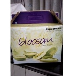 Preloved Tupperware Blossom