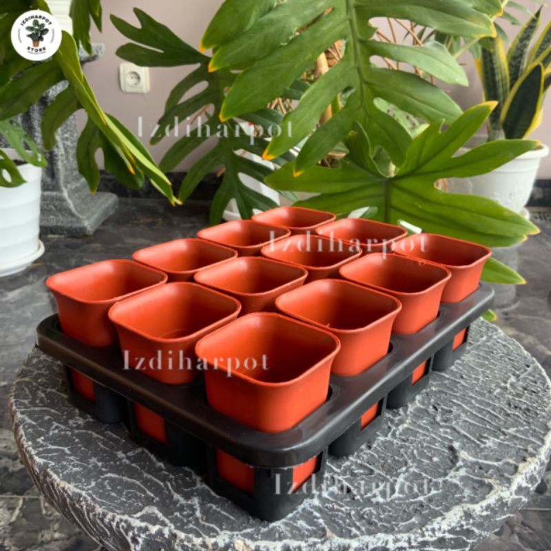 1 set Tray + pot bunga nkt kotak 5cm MERAH BATA | tray semai bibit