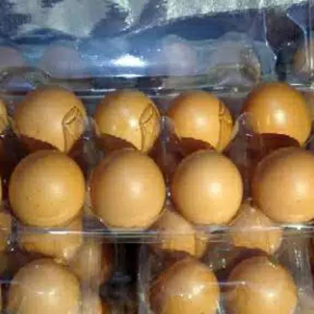 

Telur ayam horen