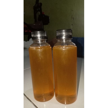 

madu kelanceng original