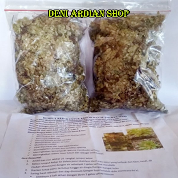 

(BAYAR DI TEMPAT) RUMPUT HERBAL KEBAR PAPUA ASLI PENYUBUR KANDUNGAN