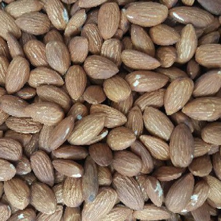 

KACANG ALMOND PANGGANG TANPA KULIT 250GRAM~1000GRAM