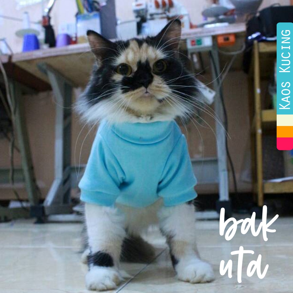 Kaos ala korea biru laut lucu untuk kucing dan anjing / baju kucing murah size S M L XL