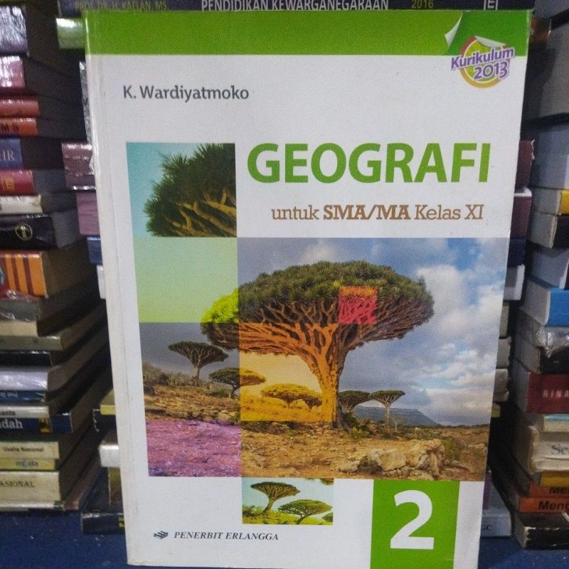 Geografi Kelas 11 (K. Wardiyatmoko)