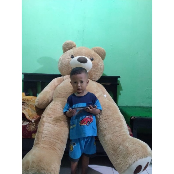 Boneka Teddy bear super jumbo 1,6 meter