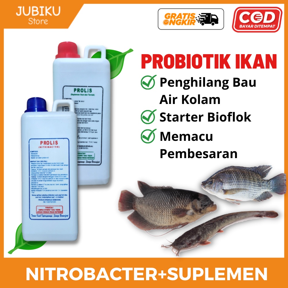 Probiotik Ikan dan Ternak untuk Lele Mujaer Nila Gurame Udang - Prolis 1 Nitrobacter + 1 Suplemen