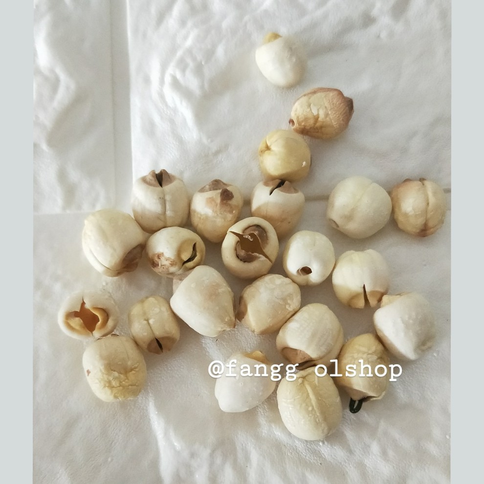 

White Lotus Seed Biji Teratai Lianzhi Lianzi Lianci 250gr