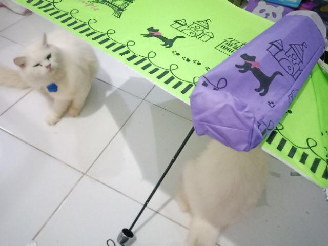 Payung Lipat 3 Motif Paris Dan Kucing Nf 384
